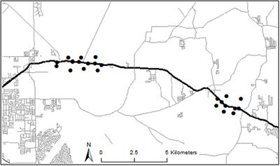 Roadside Abundance of Anurans within a Community Correlates with Reproductive Investment